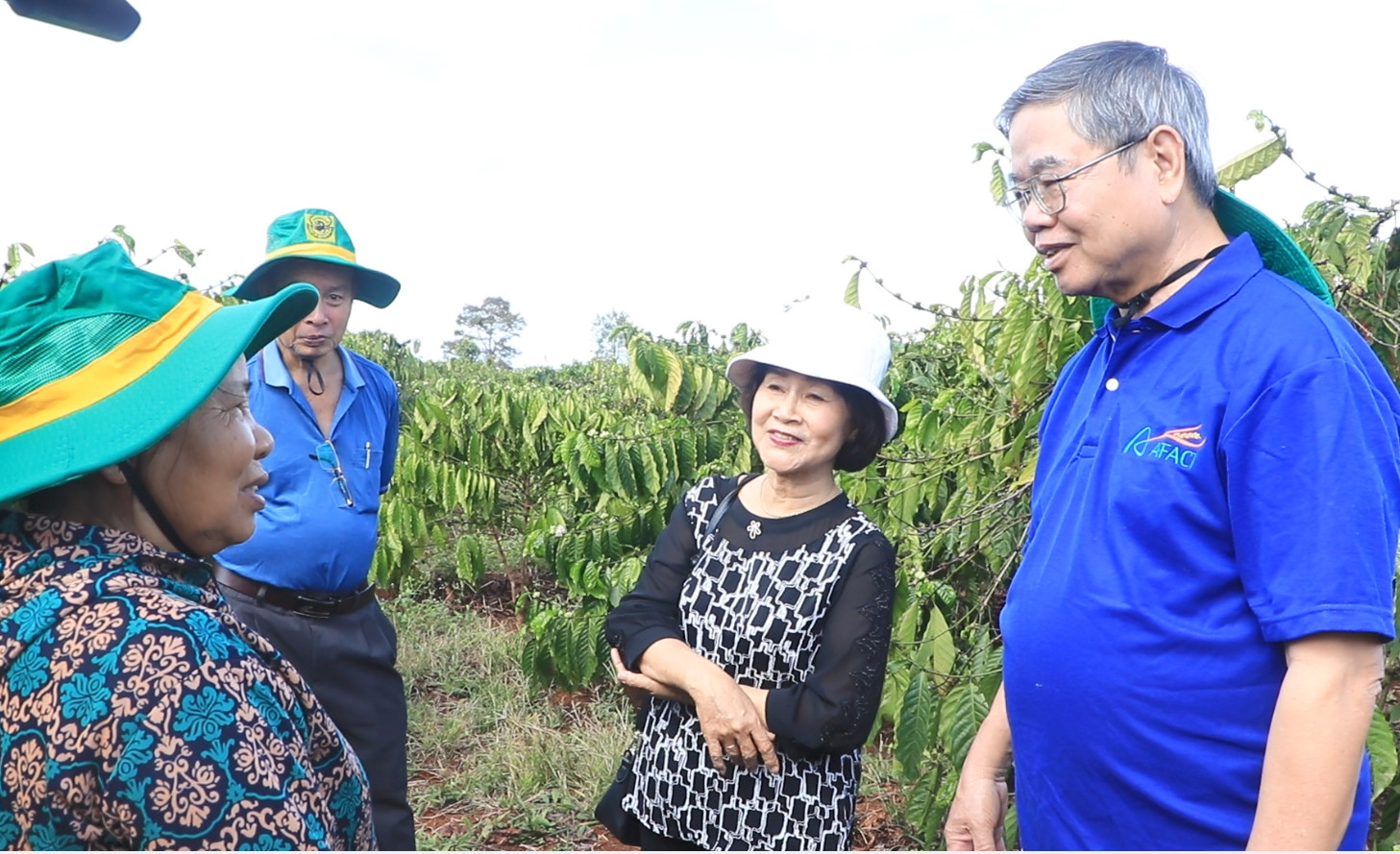 Bí quyết gì giúp vườn cà phê của ông nông dân Đắk Lắk hơn 30 năm tuổi vẫn cho năng suất cao?- Ảnh 4.