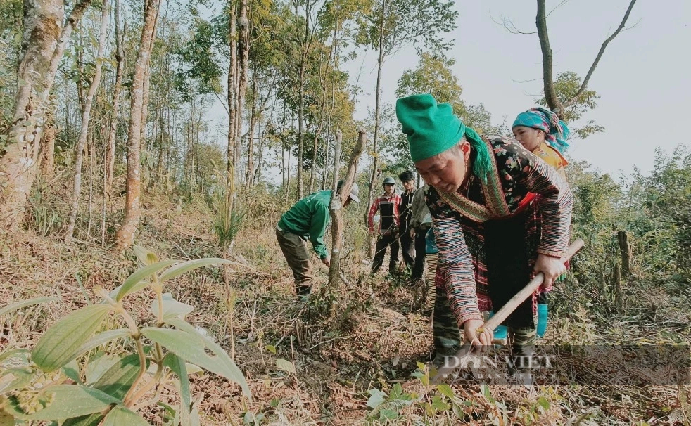 Lai Châu tổ chức gắn biển đường hoa lê ở xã có địa điểm ngắm bình minh đẹp nhất Đông Nam Á- Ảnh 3.