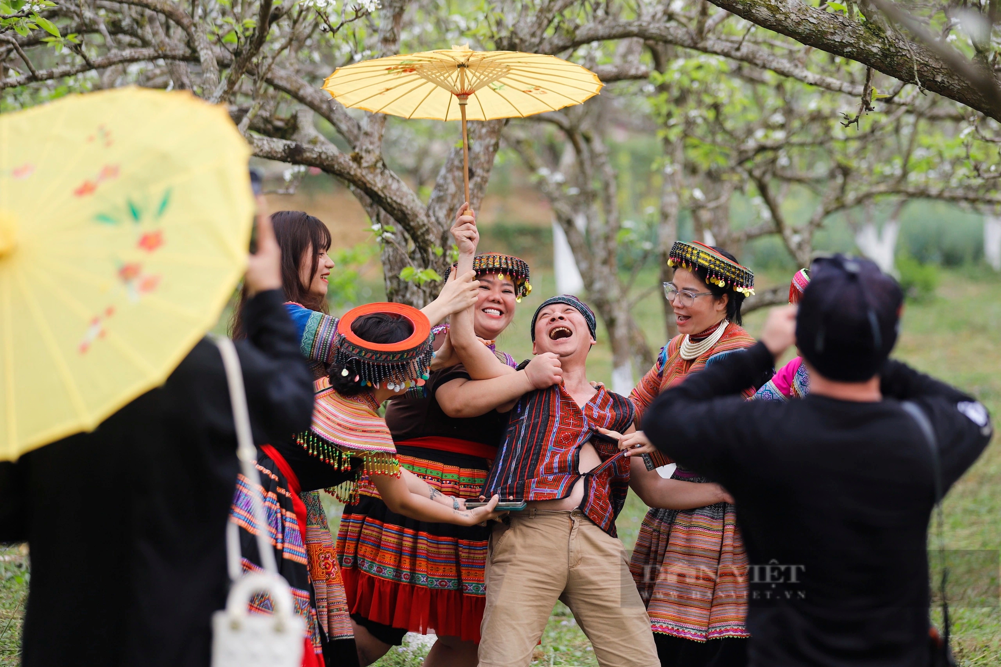 Cao nguyên Bắc Hà hút khách bởi loài hoa trắng tinh khôi tựa pha lê - Ảnh 10.