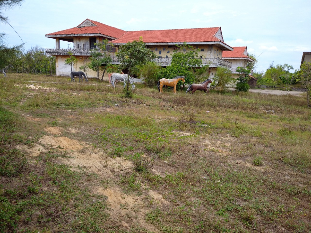 Dự án khu du lịch sinh thái ngàn tỉ bỏ hoang bên bờ biển Quảng Ngãi- Ảnh 4.