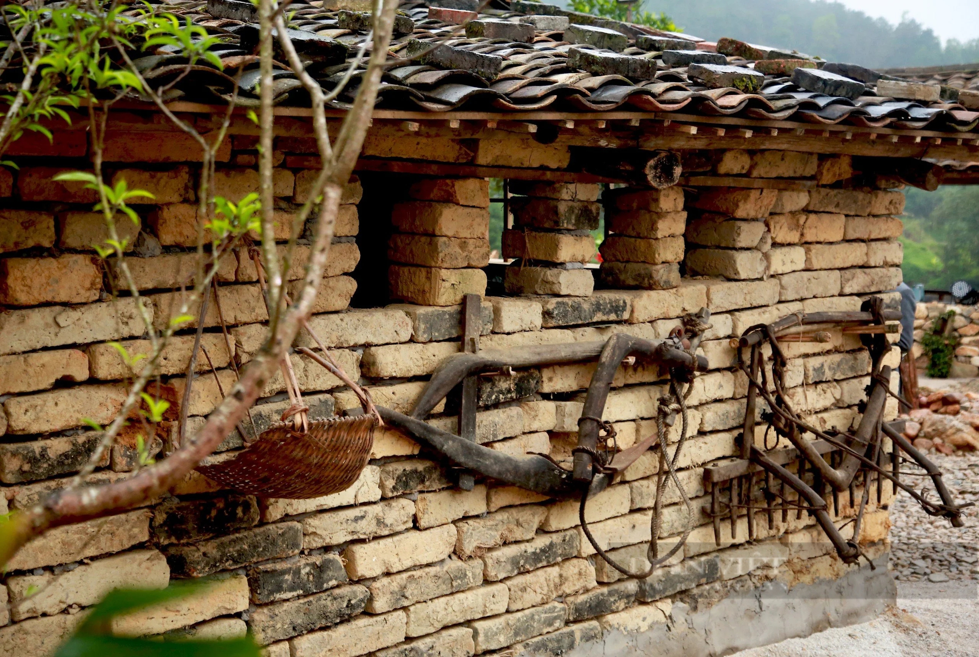 Quảng Ninh: Trải nghiệm văn hóa của người Sán Chỉ tại mô hình du lịch cộng đồng- Ảnh 3.