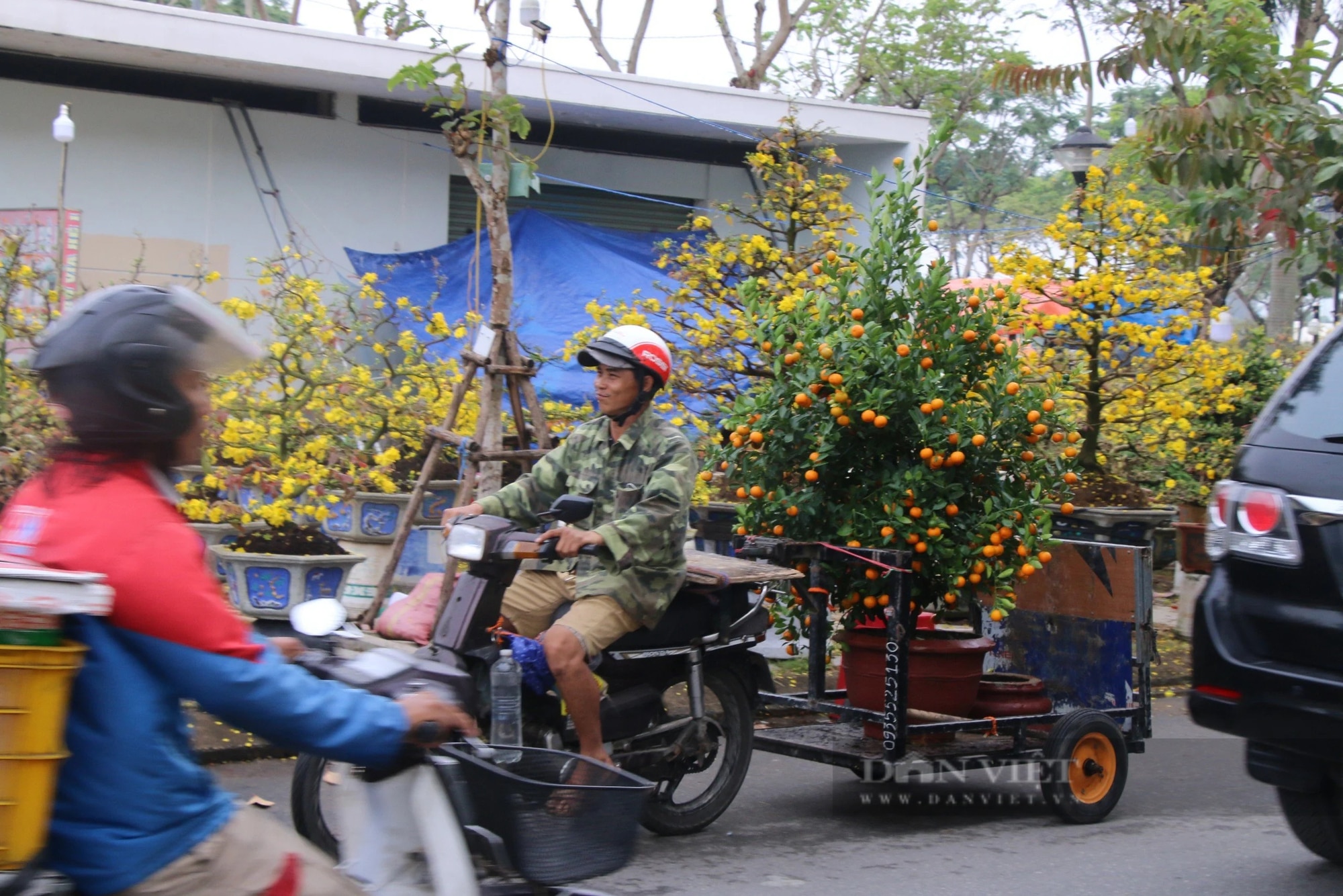 29 Tết, thương lái đồng loạt 