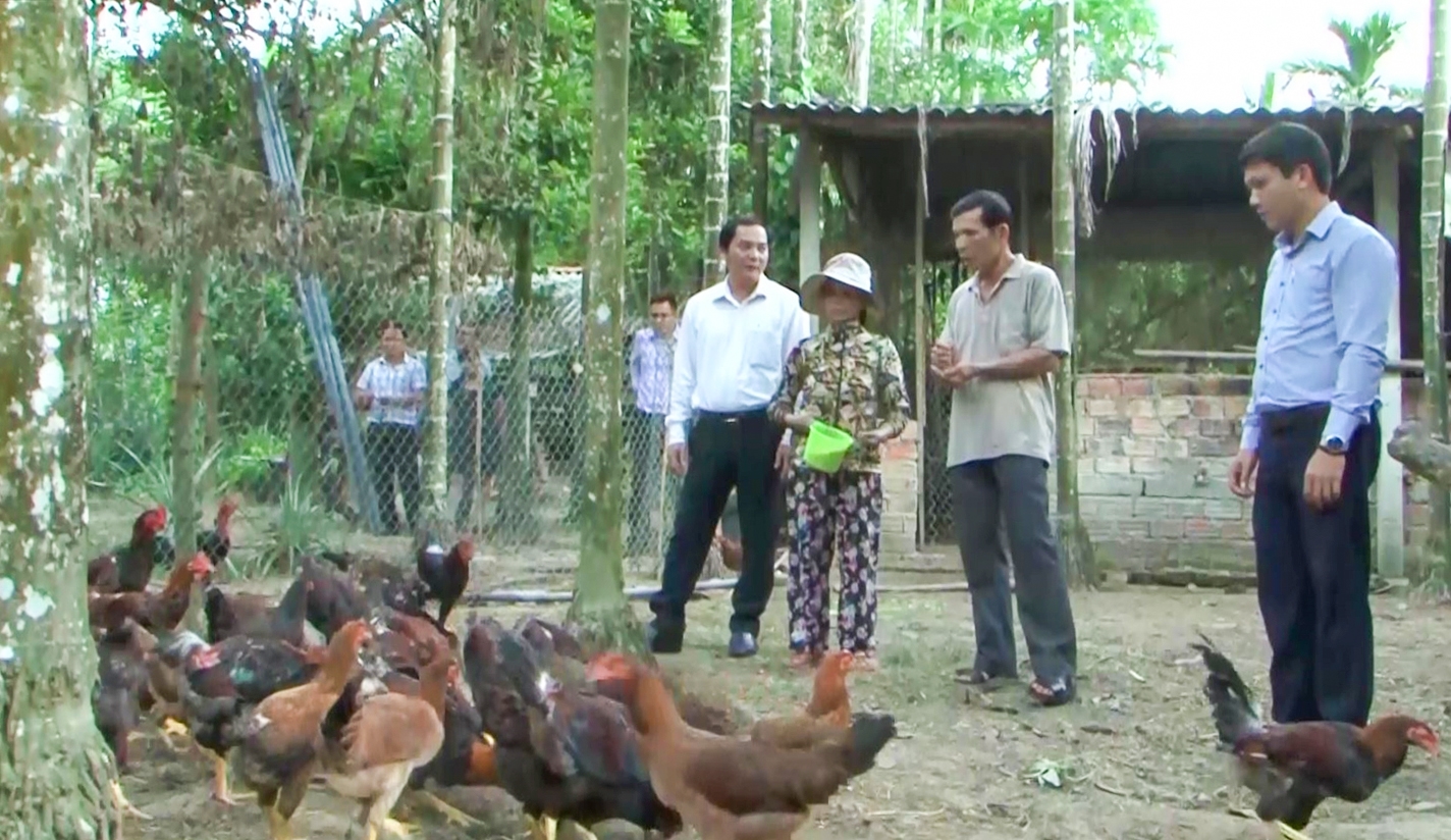 (Bài) Trà Bồng (Quảng Ngãi): Trao sinh kế, chỉ cách thoát nghèo cho người dân 1