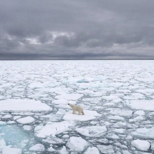 The Arctic Ocean Faces The Risk Of No Longer Having Ice By The 2030s