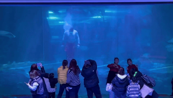 জলপরী হঠাৎ করেই চীনে অত্যন্ত উত্তপ্ত হয়ে ওঠে, রাতারাতি একটি ঘটনা হয়ে ওঠে তার পেট কাঁপানো নাচের জন্য 'সারা জীবন ধরে', যা নেটিজেনদের জোরে হেসে ফেলেছিল - ছবি ৩। Chàng tiên cá bỗng hot rần rần tại Trung Quốc, thành hiện tượng sau một đêm nhờ vũ điệu lắc bụng 'bằng cả tính mạng' khiến dân mạng cười ngất - Ảnh 3.