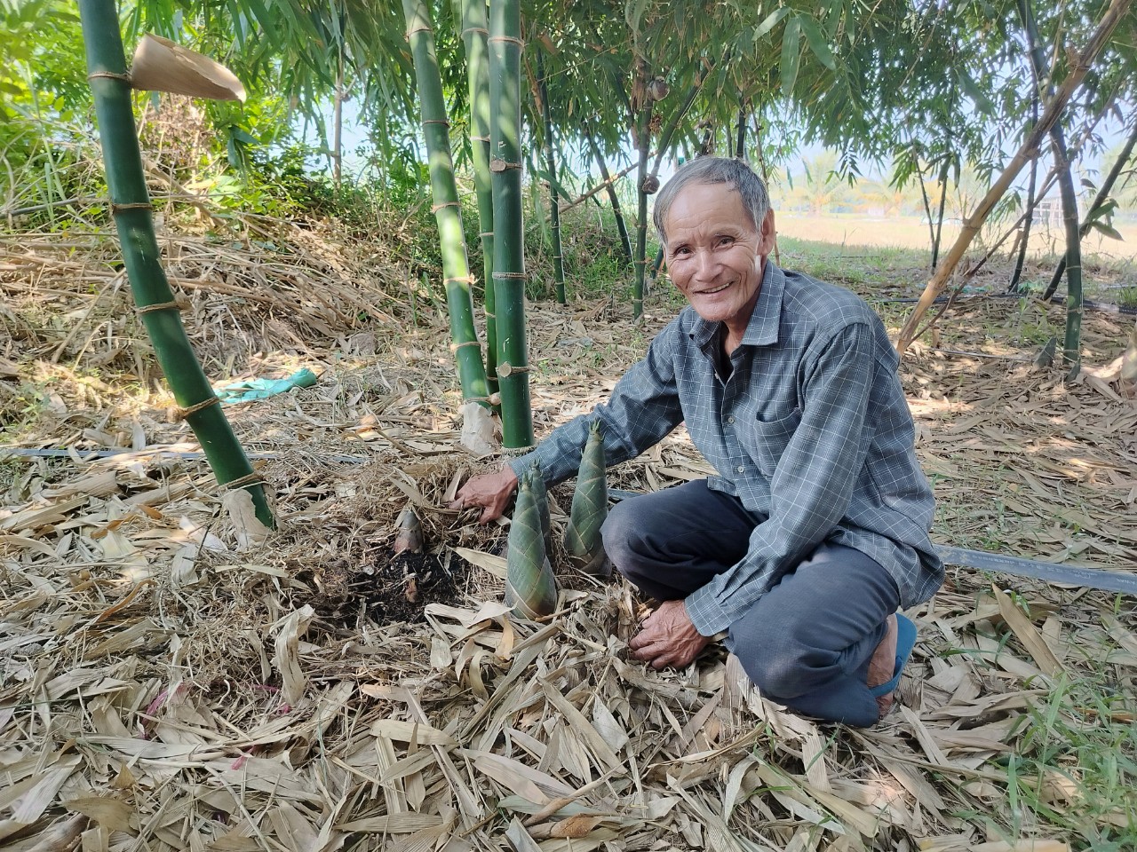 Ở Tây Ninh có 2 ông nông dân đều chuyển sang trồng 