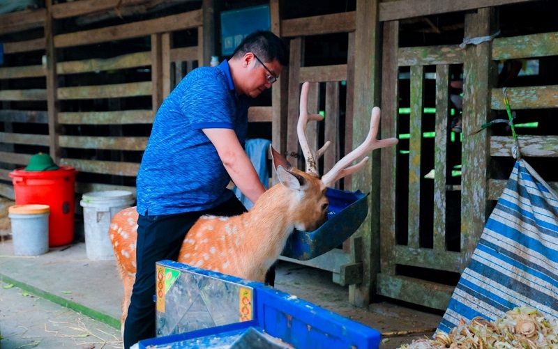 Nhiều người đ&atilde; trải nghiệm cưỡi tr&ecirc;n lưng hươu v&agrave; cho ăn, tạo cảm gi&aacute;c rất th&uacute; vị