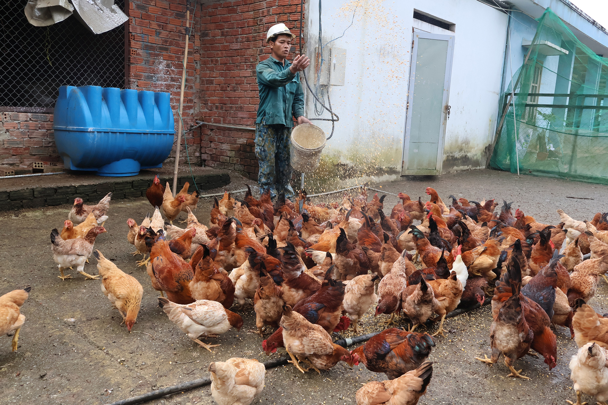 Hiên Chưu, một người trẻ đầy nhiệt huyết, siêng năng ở làng thanh niên lập nghiệp Thạnh Mỹ - Ảnh: LÊ TRUNG