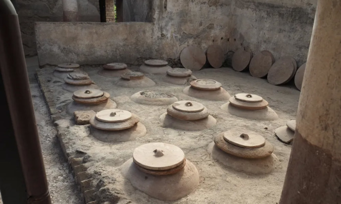 Các bình dolia bị chôn vùi trong hầm rượu ở thị trấn Boscoreale, Italy. Ảnh: E. Dodd/Ministryo della Cultura/Parco Archaeologico di Pompei