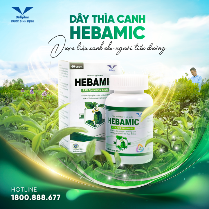 Hebamic: Giải pháp an toàn từ thìa canh 3 chuẩn giúp duy trì ổn định đường huyết - 1