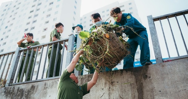 Hơn 350 đoàn viên thanh niên vớt rác, làm phao chắn rác