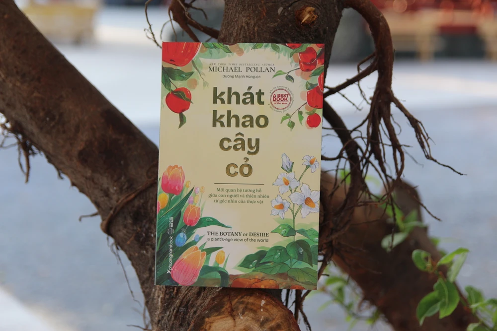 Khat-khao-cay-co-2.JPG