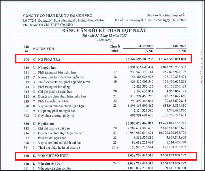 Nợ phải trả tại SIP cao gấp 4 lần VCSH. Ảnh chụp màn hình.