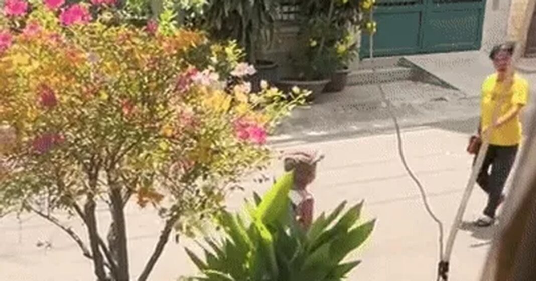 Người phụ nữ bắt bé 4 tuổi bán vé số, đe "bán không hết, biết tay tao"