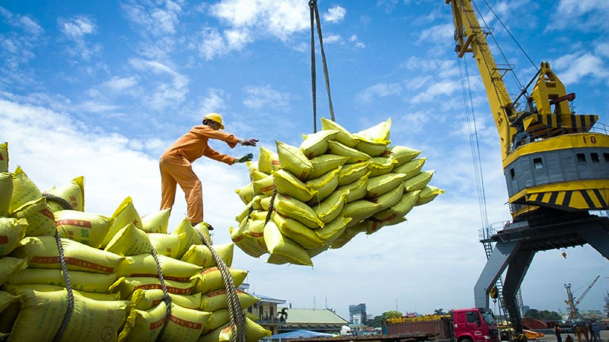 Xuất khẩu gạo sang thị trường Trung Quốc gặp khó