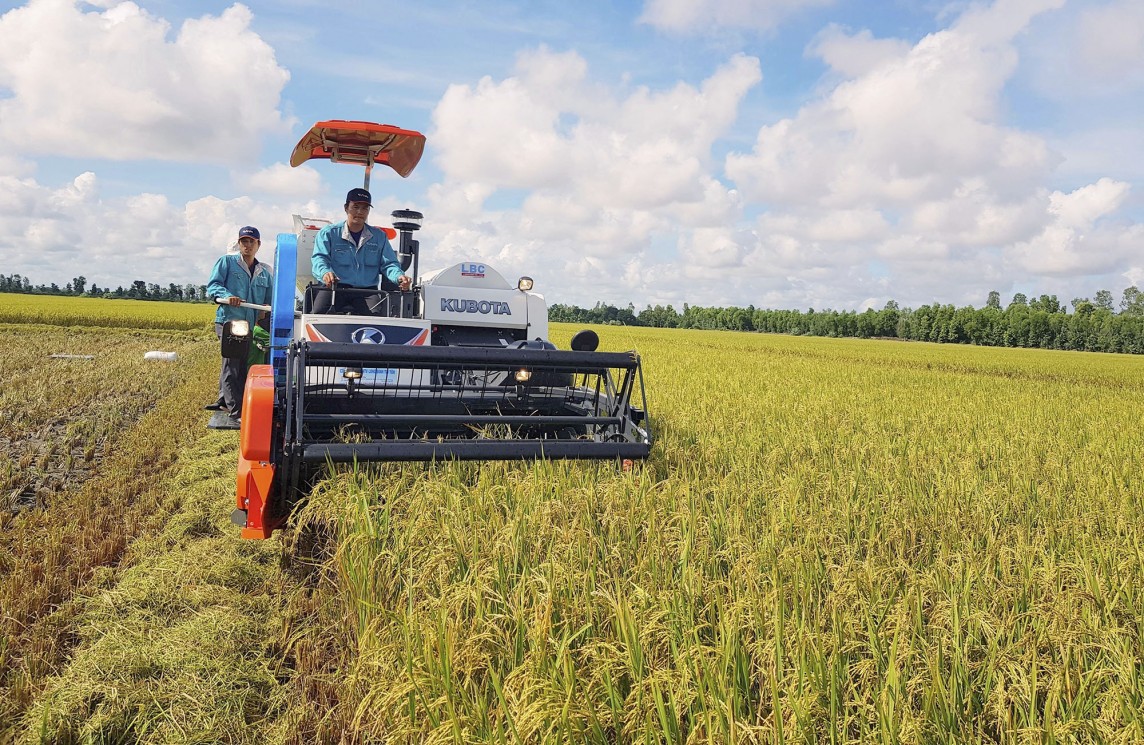 Lợi thế của gạo Việt Nam tại thị trường Philippines