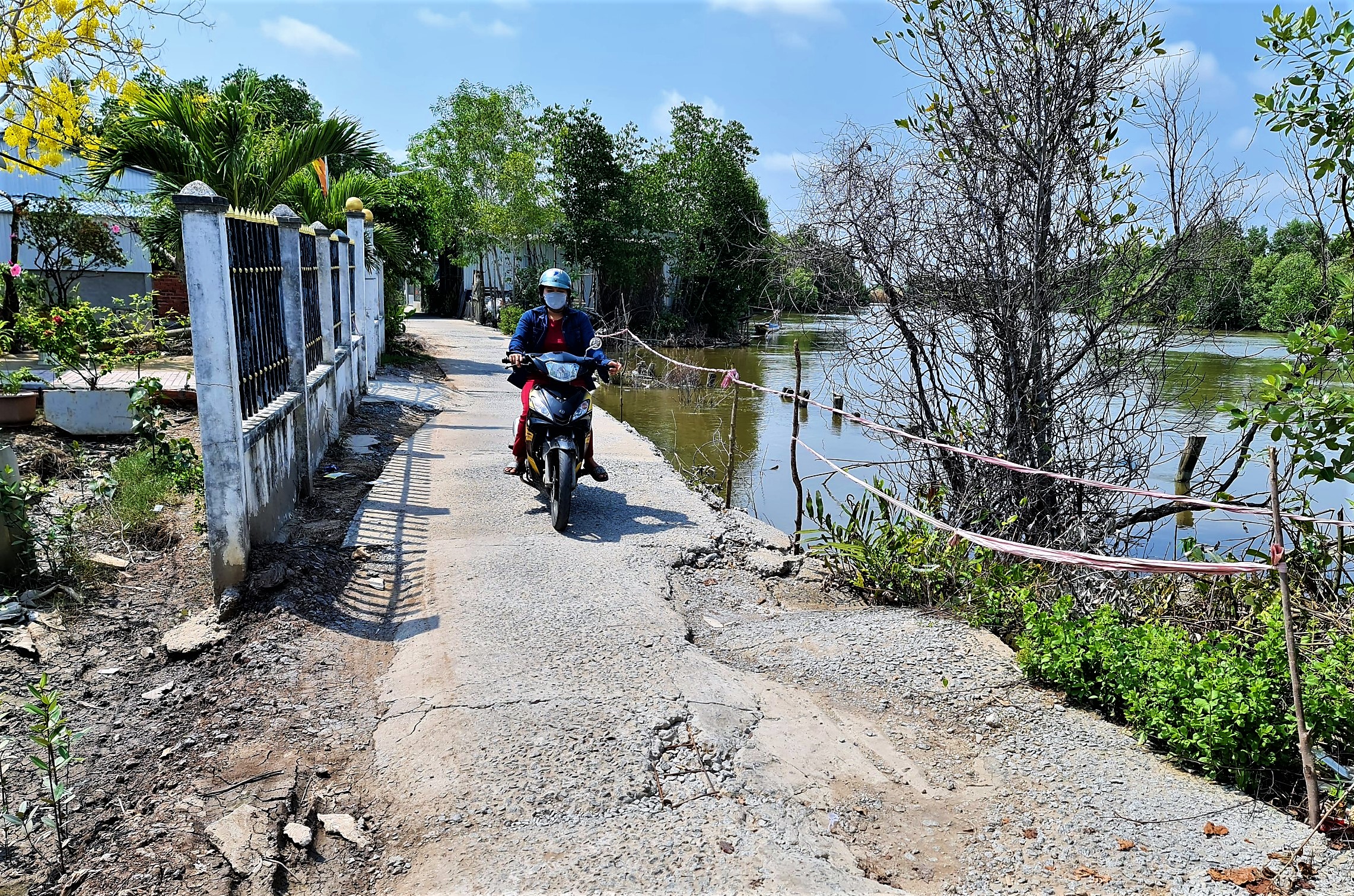 Cà Mau: Xây dựng đề án phòng chống sạt lở kinh phí trên 31.000 tỉ đồng- Ảnh 1.