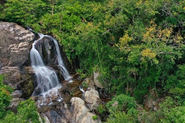 'Điểm danh' các vườn quốc gia đẹp và nổi tiếng tại Việt Nam- Ảnh 2.'Điểm danh' các vườn quốc gia đẹp và nổi tiếng tại Việt Nam- Ảnh 2.