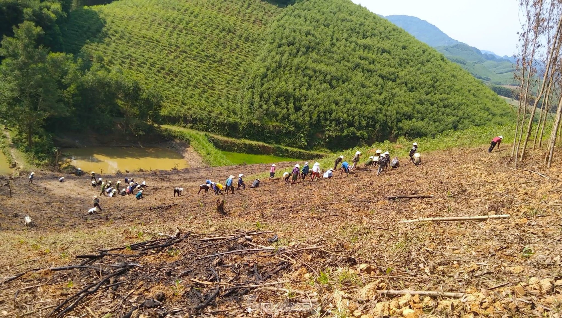 Đoàn viên thanh niên giúp gia đình khó khăn trồng hàng vạn cây trên rừng ảnh 8