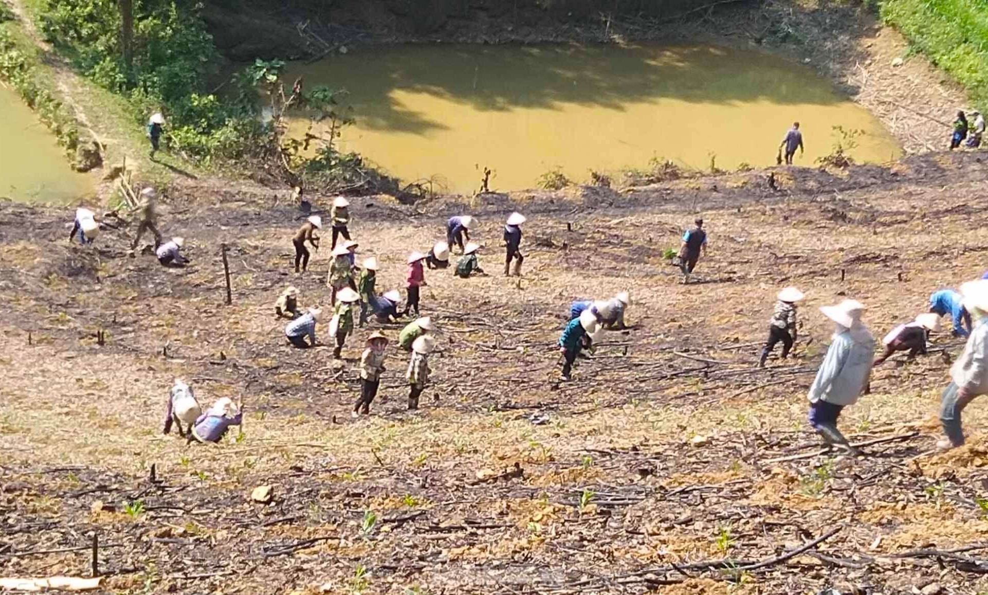 Đoàn viên thanh niên giúp gia đình khó khăn trồng hàng vạn cây trên rừng ảnh 15