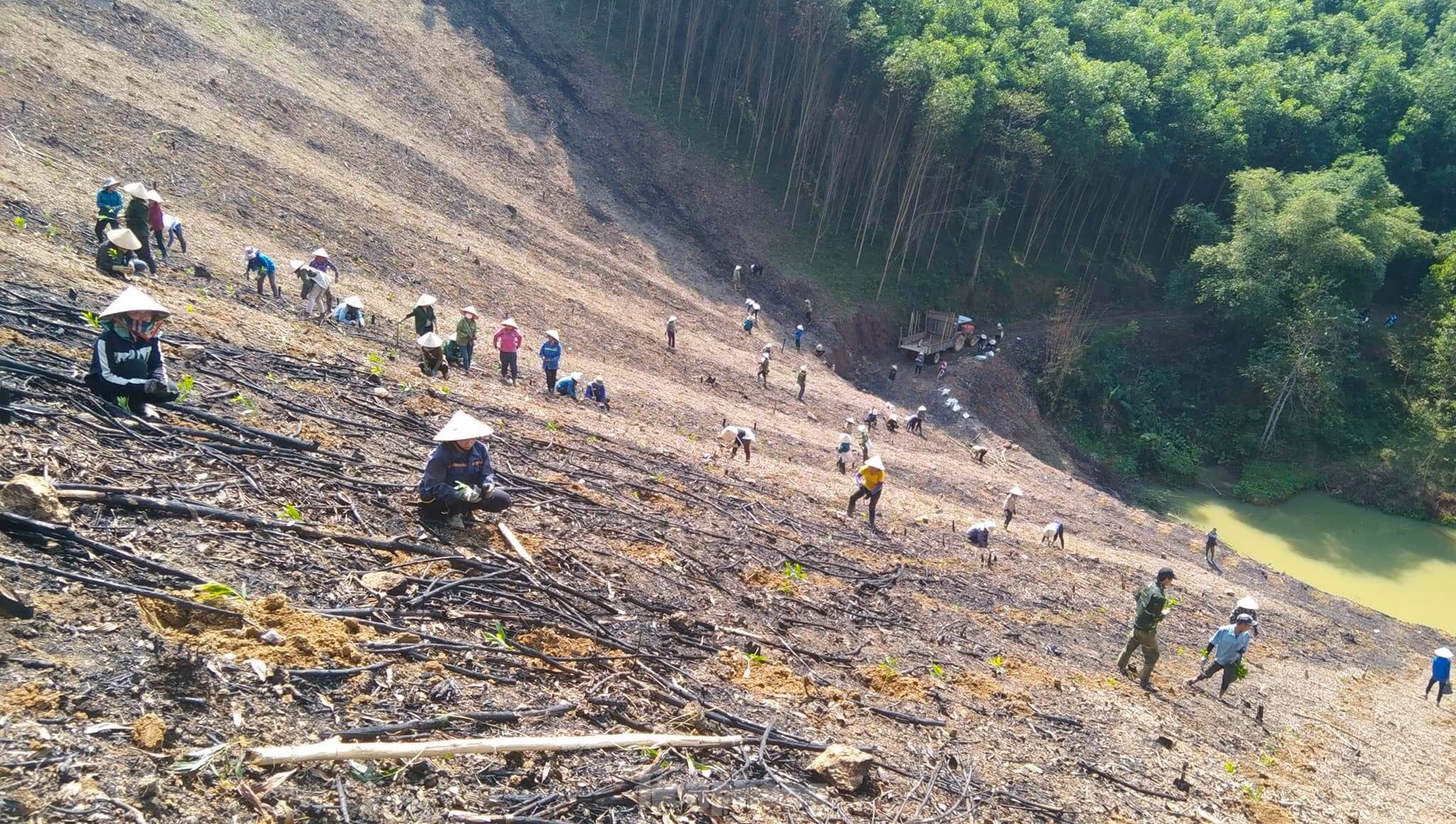 Đoàn viên thanh niên giúp gia đình khó khăn trồng hàng vạn cây trên rừng ảnh 14