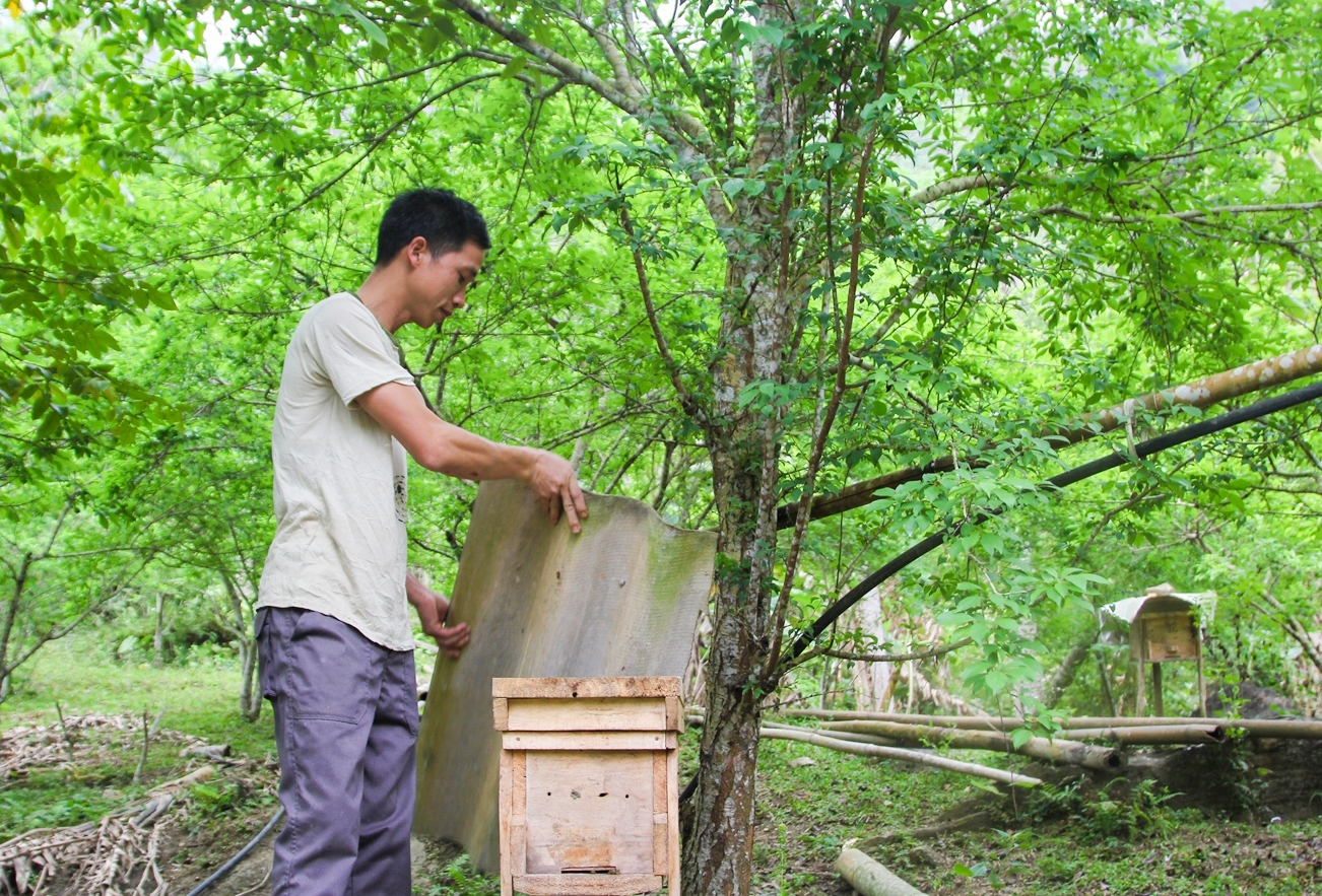 Nhiều mô hình phát triển kinh tế được triẻn khai tại Bảo Lâm