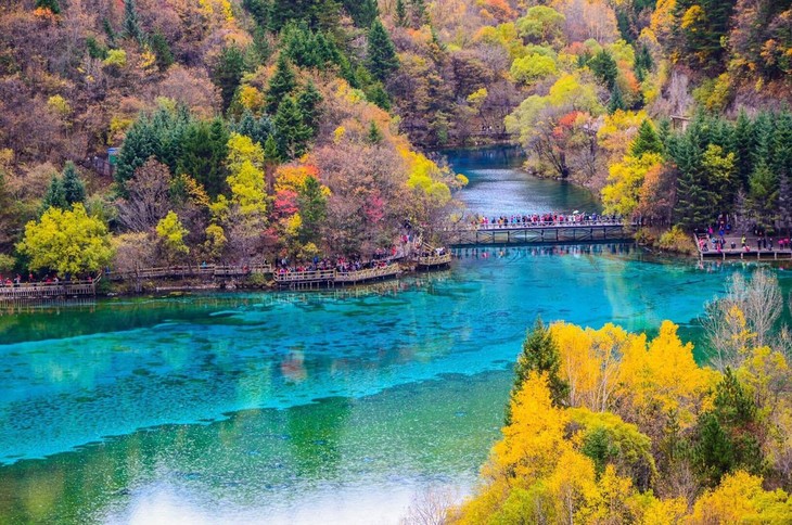 Rừng Jiuzhaigou (Cửu Trại Châu) nằm ở Nam Bình, Tứ Xuyên, Trung Quốc. Diện tích rộng 72.000 km vuông, cao hơn 4.800m, khu rừng có hồ sinh thái đa dạng và không khí trong lành. UNESCO đã công nhận Jiuzhaigou là di sản thiên nhiên thế giới từ năm 1992. Rừng Jiuzhaigou nổi tiếng với hơn 200 loài động, thực vật quý hiếm như gấu trúc khổng lồ, khỉ vàng, phong lan, đỗ quyên. Với vẻ đẹp hoang sơ và kỳ vỹ, mỗi ngày Jiuzhaigou thu hút khoảng 10.000 khách du lịch trên thế giới. Ảnh Vietravel