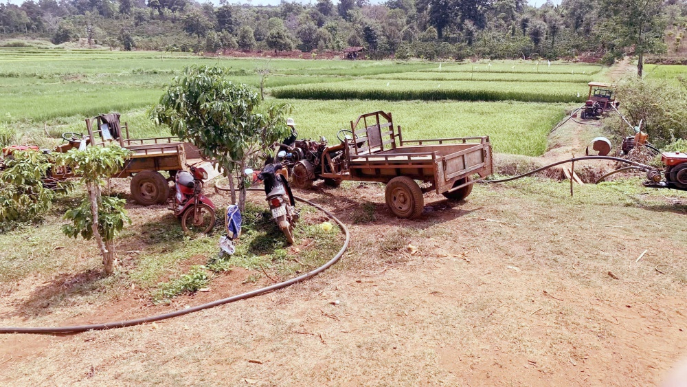 Chủ động ứng phó với thiếu nước tưới