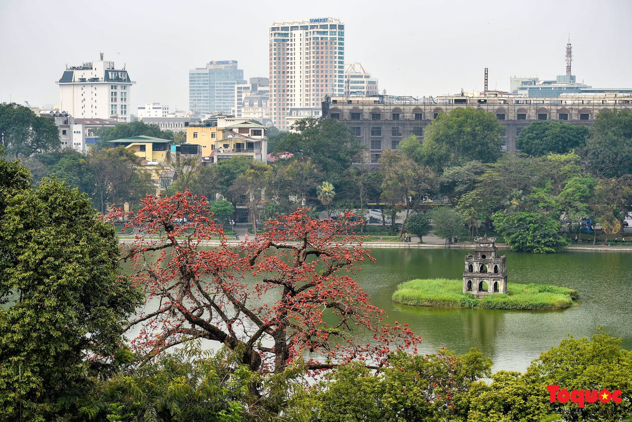 Mùa hoa gạo trong phố - Ảnh 3.