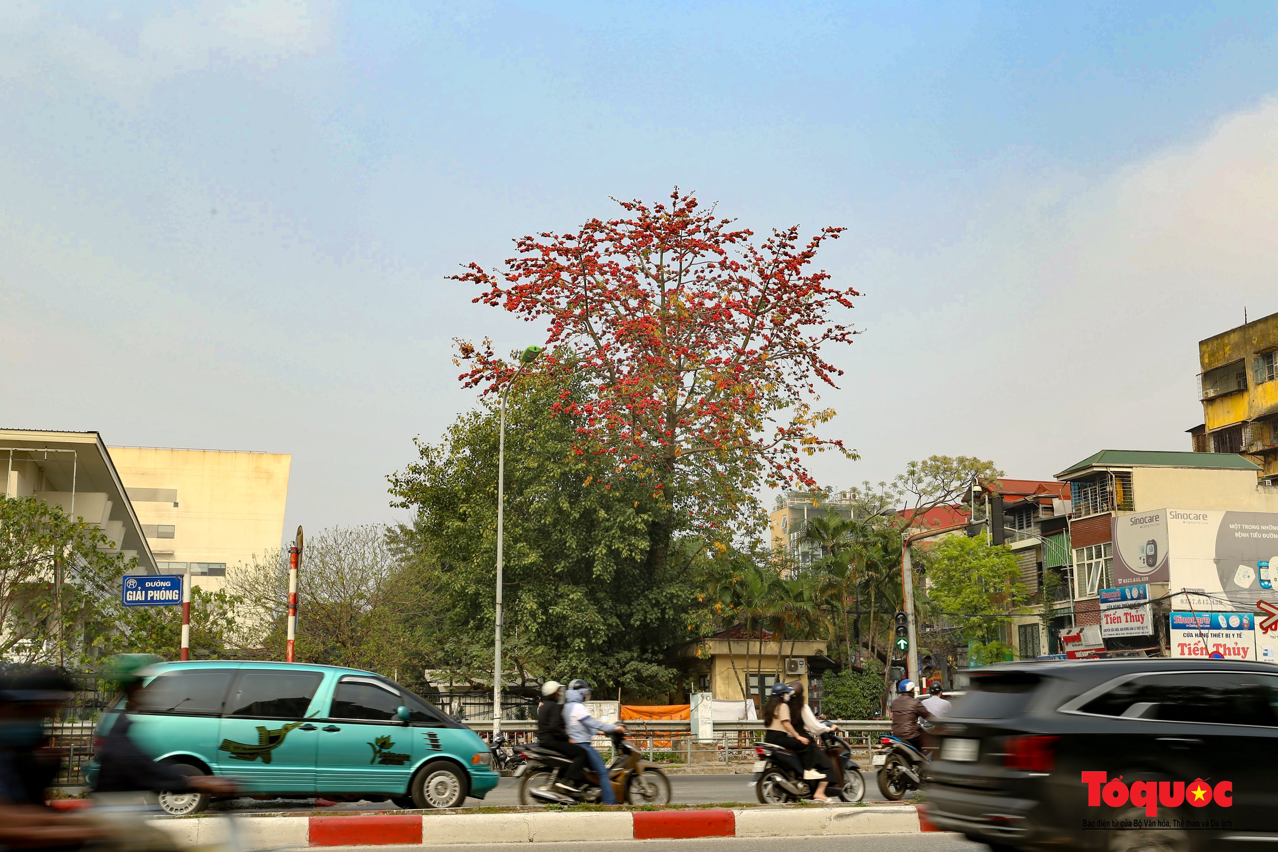 Mùa hoa gạo trong phố - Ảnh 13.