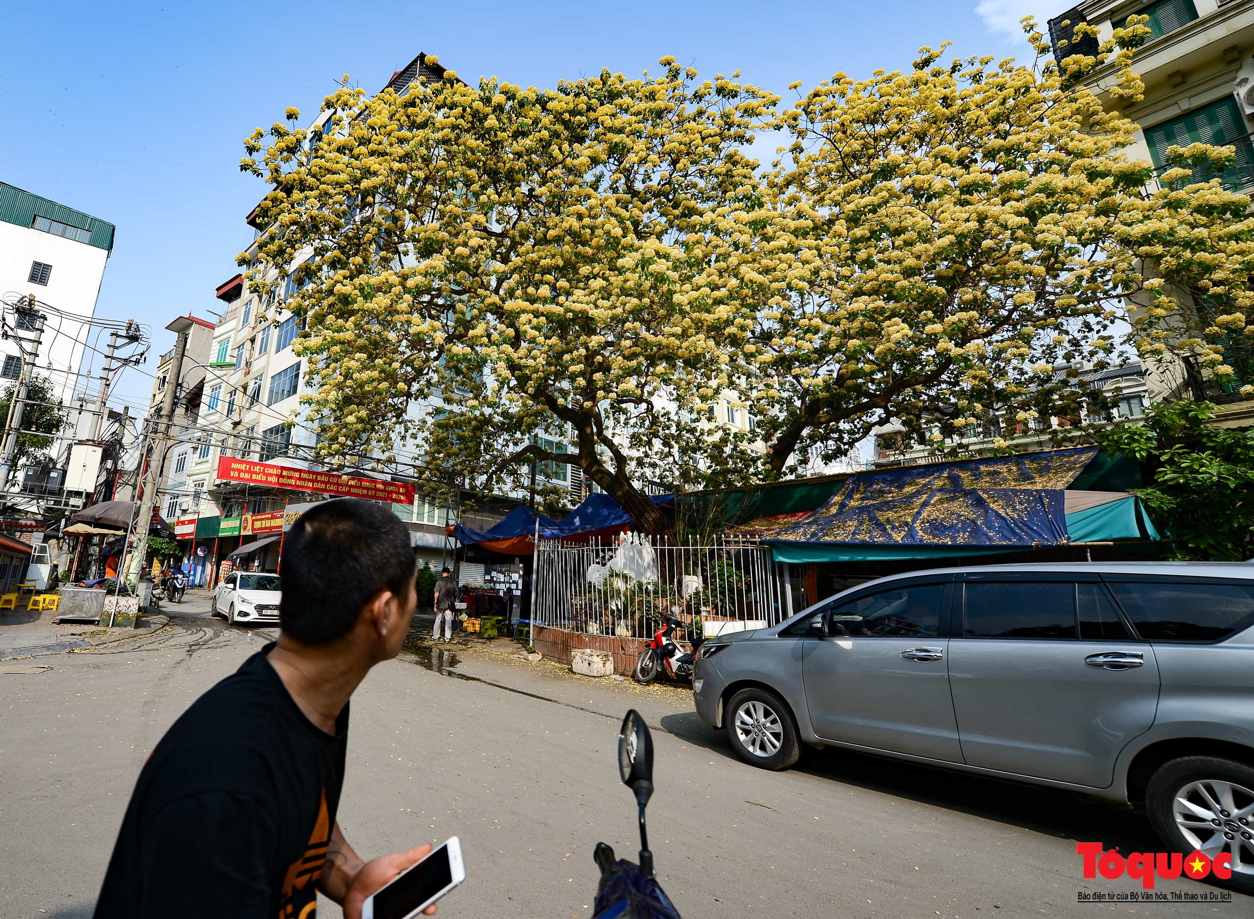 Mùa hoa bún tỏa sắc trong lòng Thủ đô - Ảnh 6.