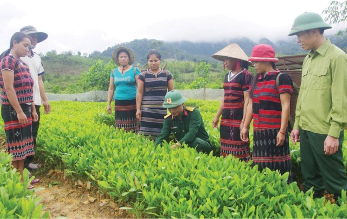 (Bài KH) Thừa Thiên Huế: Đẩy nhanh tiến độ giải ngân nguồn vốn các chương trình MTQG 2