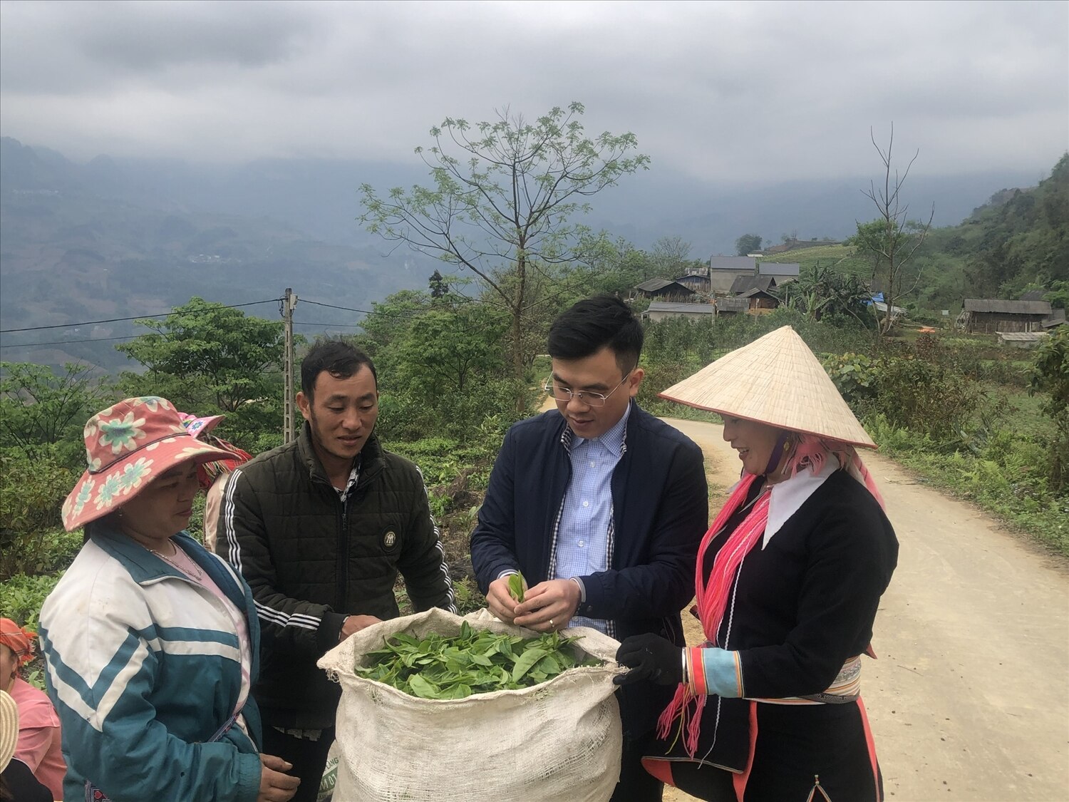 Chủ tịch xã Đặng Công Huân (thứ hai từ phải qua) khẳng định cây chè thực sự là cây xóa đói, giảm nghèo cho người dân Lùng Khấu Nhin