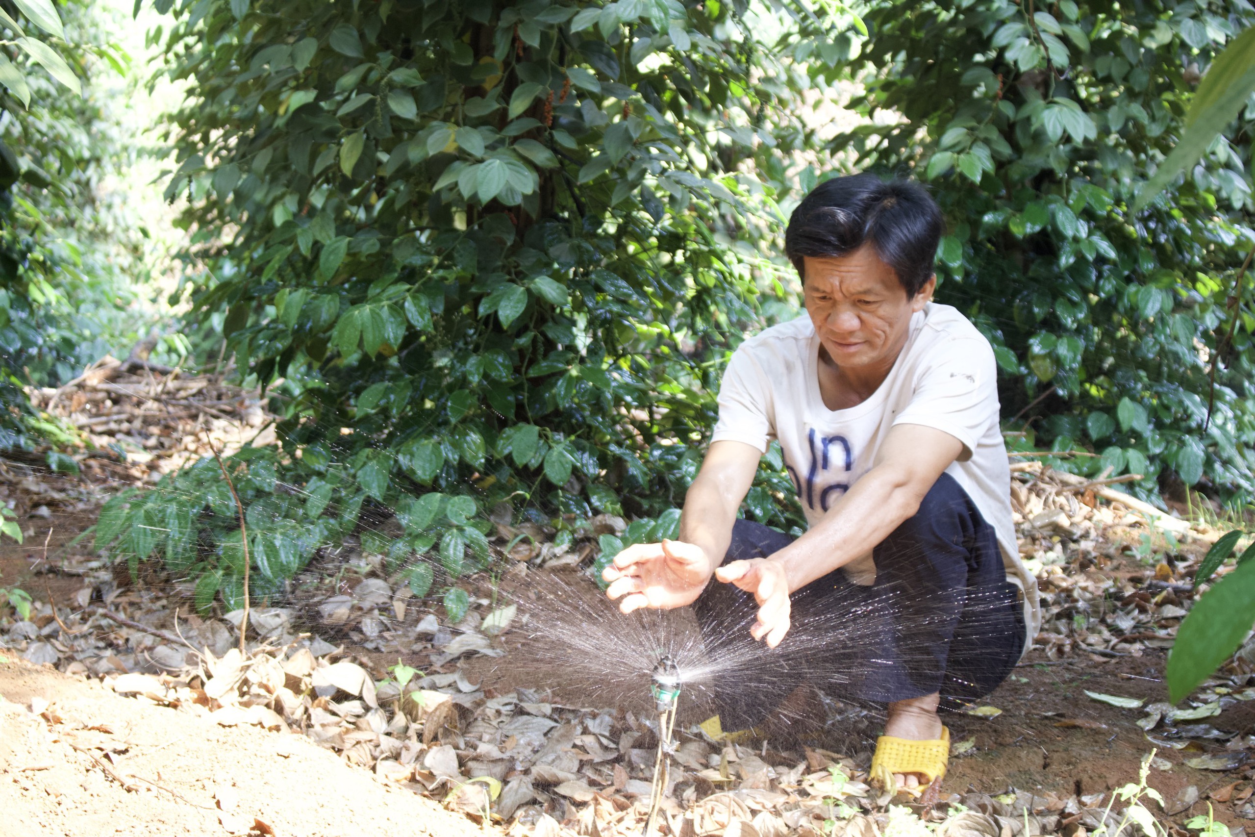 Gọi là chủ động ứng phó với khô hạn, vậy nông dân Đắk Lắk lấy nước ở đâu để tưới cây trồng?- Ảnh 3.