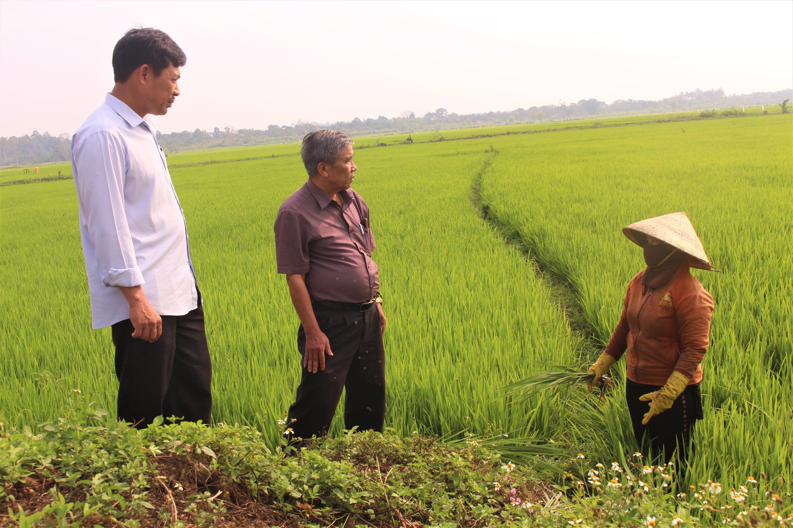 Gọi là chủ động ứng phó với khô hạn, vậy nông dân Đắk Lắk lấy nước ở đâu để tưới cây trồng?- Ảnh 5.