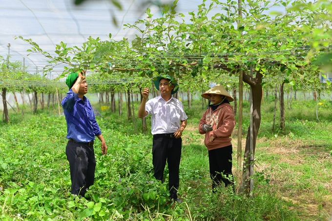 Hiện nay, việc ứng dụng công nghệ cao vào sản xuất còn gặp nhiều khó khăn. Ảnh: M.P.