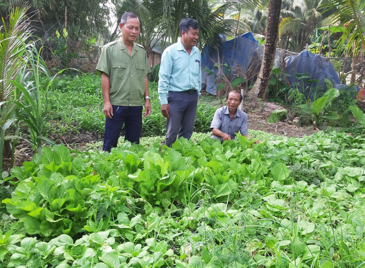 Từ trồng cây màu xen canh, anh Kim Sà Phol, ấp Xóm Chòi, xã Ngãi Xuyên, huyện Trà Cú (ngoài cùng bên trái) đã có thu nhập ổn định. Ảnh: Gia Uyên.