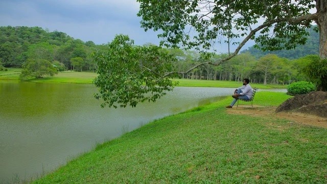 Hành trình đầy bất ngờ tại quốc đảo Sri Lanka