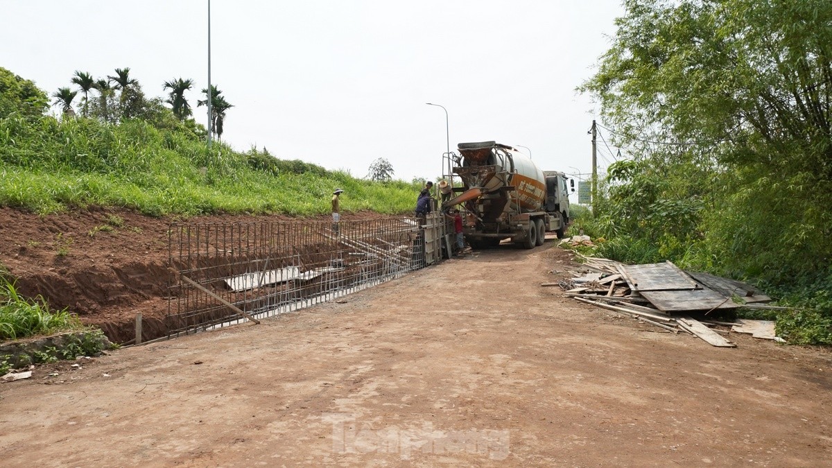 Hà Nội chi gần 400 tỷ đồng cải tạo đê sông Hồng qua đoạn huyện Phú Xuyên ảnh 5