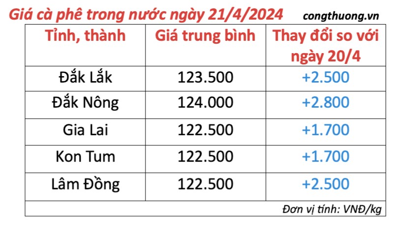 Giá cà phê hôm nay, 21/4/2024: Giá cà phê trong nước tăng trở lại