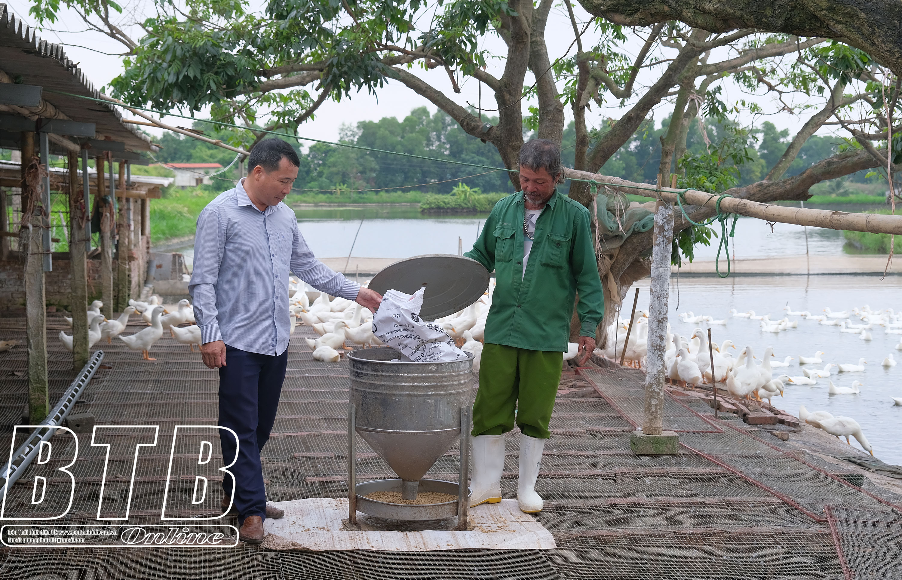 Anh Phượng Hưng Hà, chị Thúy Đông Hưng, anh Phướng Thái Thụy, mỗi người một cách làm mà đều thành triệu phú - Ảnh 2.