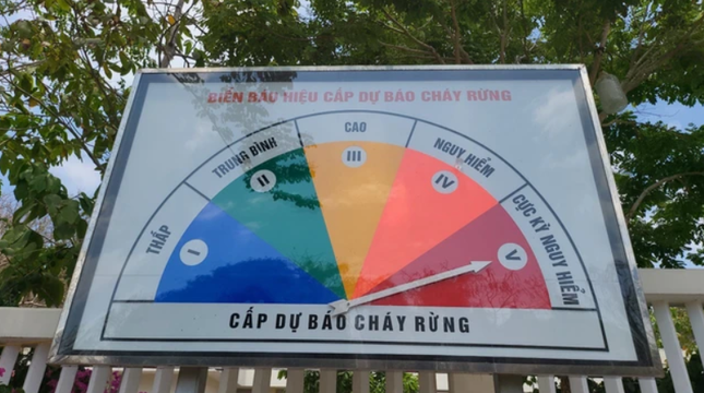 Bà Rịa - Vũng Tàu: Nguy cơ cháy rừng đang ở cấp cao nhất ảnh 2