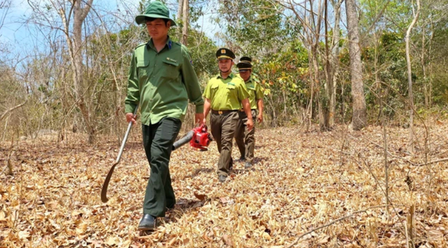 Bà Rịa - Vũng Tàu: Nguy cơ cháy rừng đang ở cấp cao nhất ảnh 5