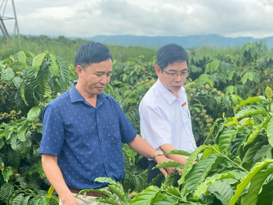 Đồng hành cùng tam nông, phát triển kinh tế địa phương