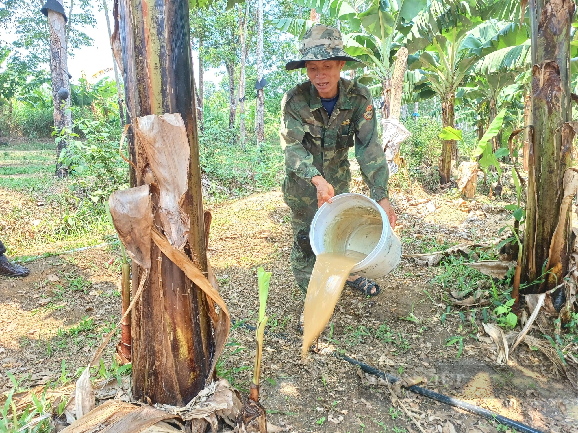 Mặc kệ xóm làng chê, anh nông dân ở Kon Tum quyết trồng cây cho 