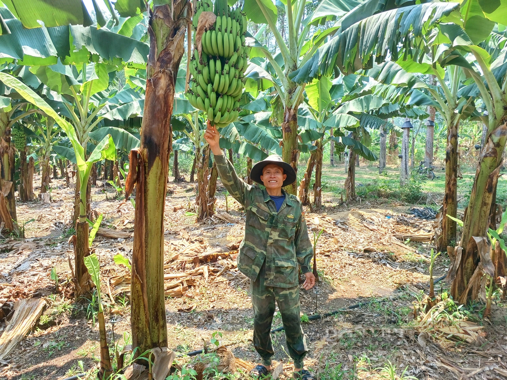 Mặc kệ xóm làng chê, anh nông dân ở Kon Tum quyết trồng cây cho 