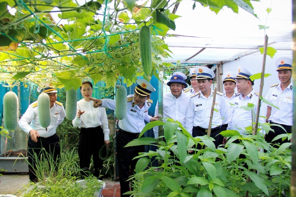 C&aacute;c đồng ch&iacute; l&atilde;nh đạo Đo&agrave;n c&ocirc;ng t&aacute;c số 9 thăm vườn rau xanh của c&aacute;n bộ, chiến sỹ tại đảo Tốc Tan C.