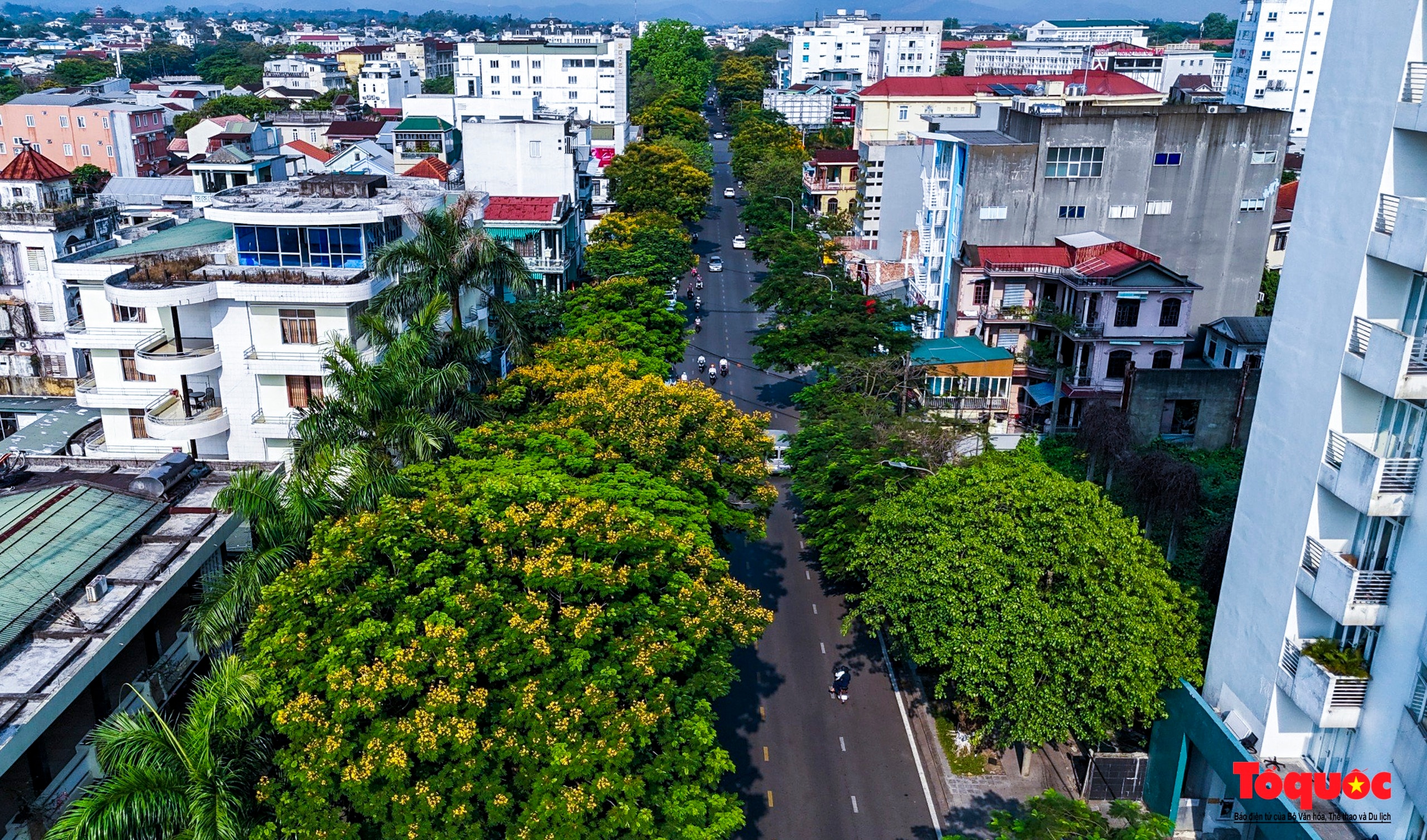 Mùa hoa điệp vàng tỏa sắc giữa lòng Cố đô Huế - Ảnh 3.