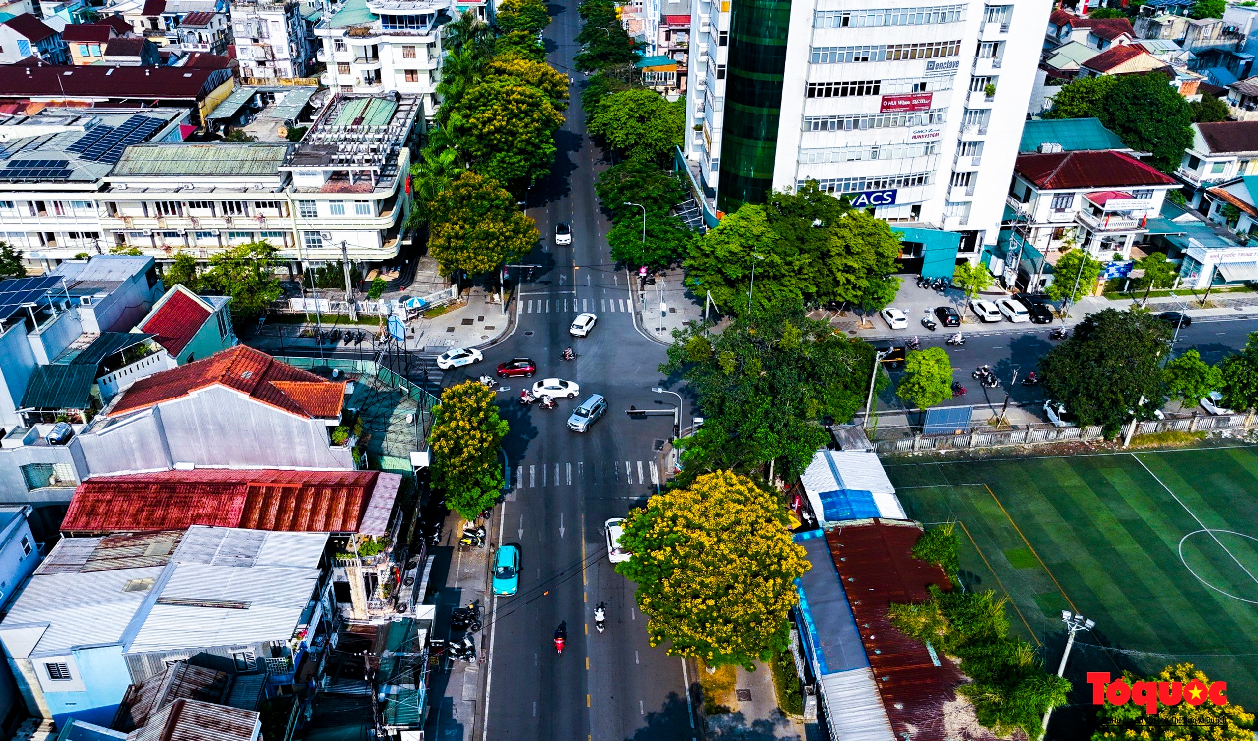 Mùa hoa điệp vàng tỏa sắc giữa lòng Cố đô Huế - Ảnh 15.