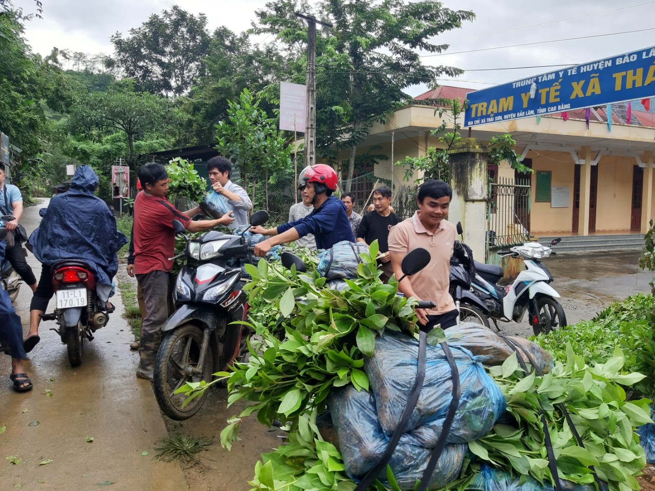 Người dân ở vùng cao được hỗ trợ cây giống để phát triển sản xuất